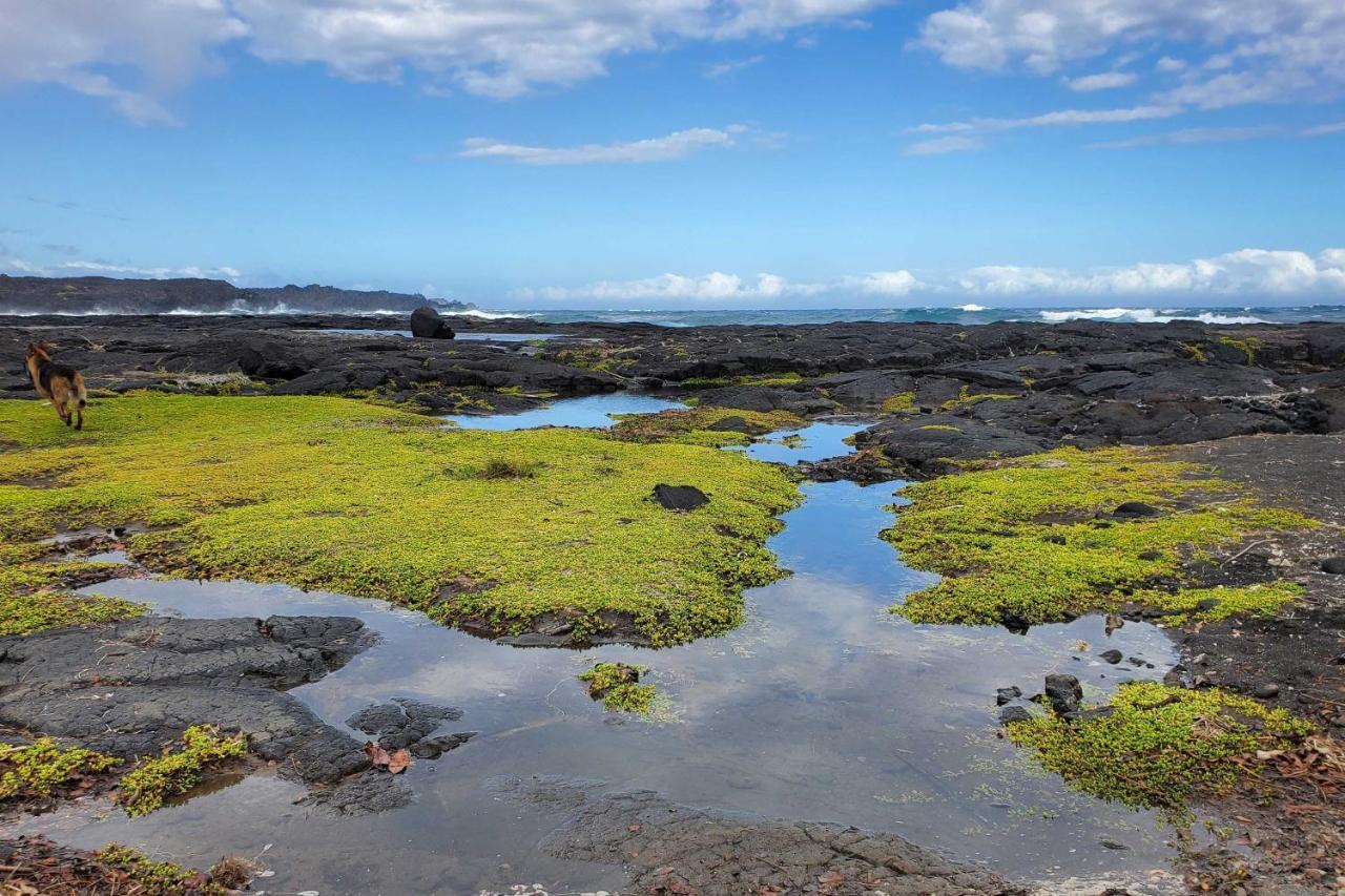 The Aloha Green House Retreat With Ocean Views! Naalehu Экстерьер фото