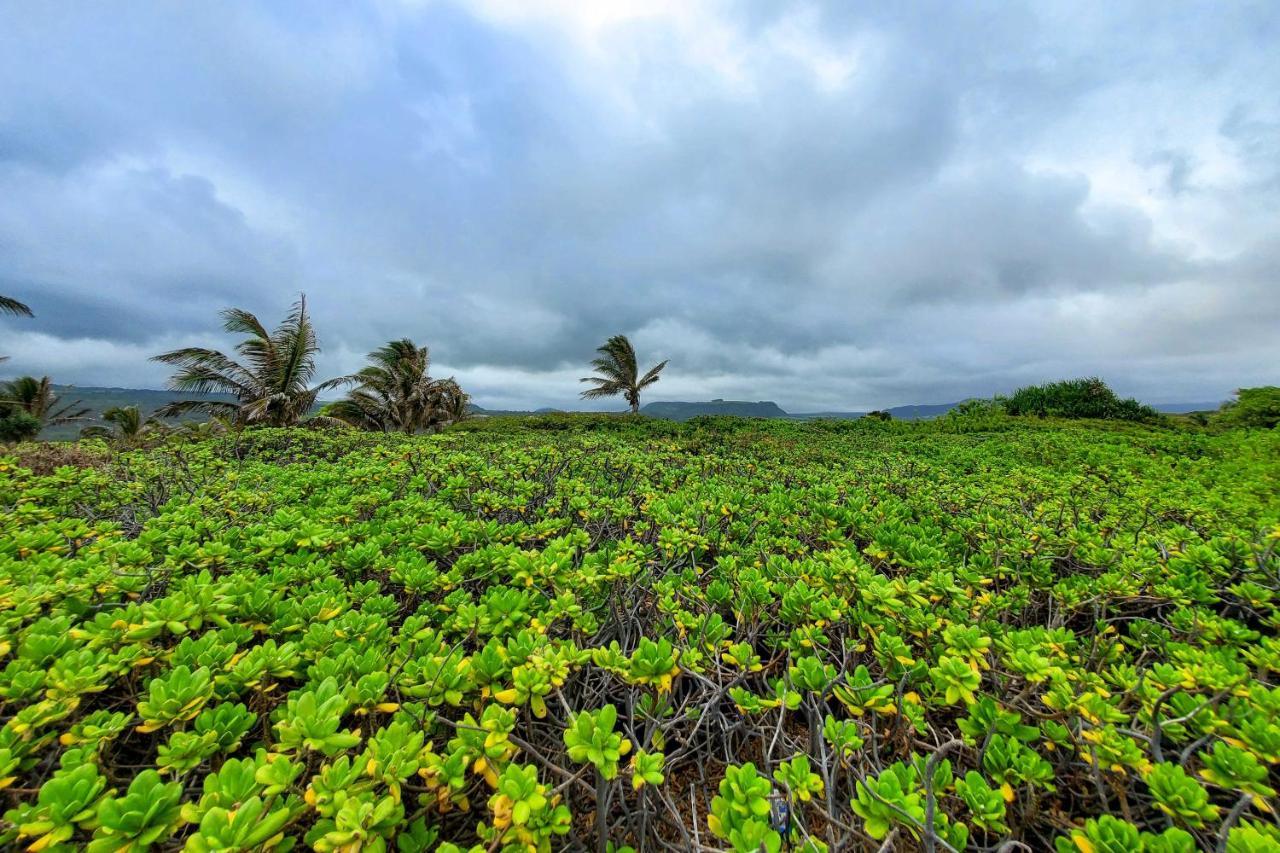 The Aloha Green House Retreat With Ocean Views! Naalehu Экстерьер фото