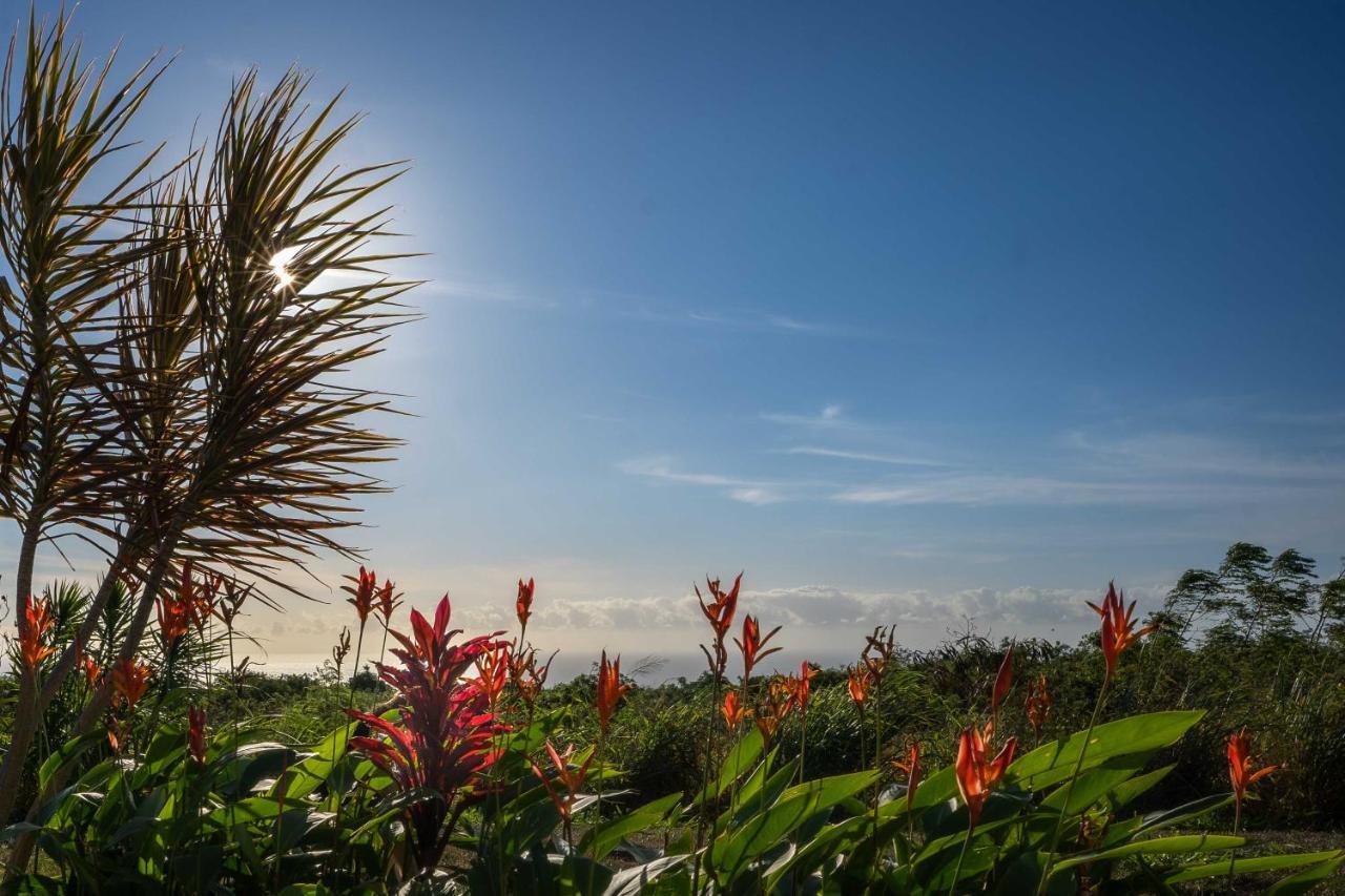 The Aloha Green House Retreat With Ocean Views! Naalehu Экстерьер фото